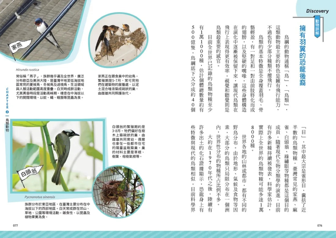 一年份的自然課: 動物大日子套書 (附全年動物大日子生態年表/2冊合售)