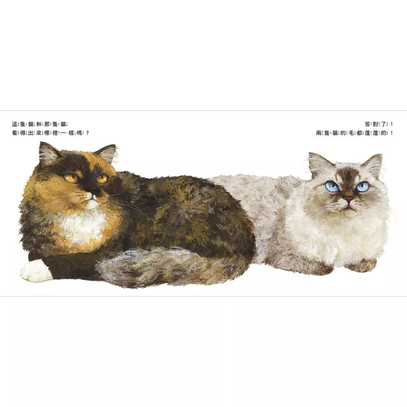 貓和貓（特別加贈貓咪資料夾）(町田尚子)-非故事: 動物植物 Animal & Plant-買書書 BuyBookBook
