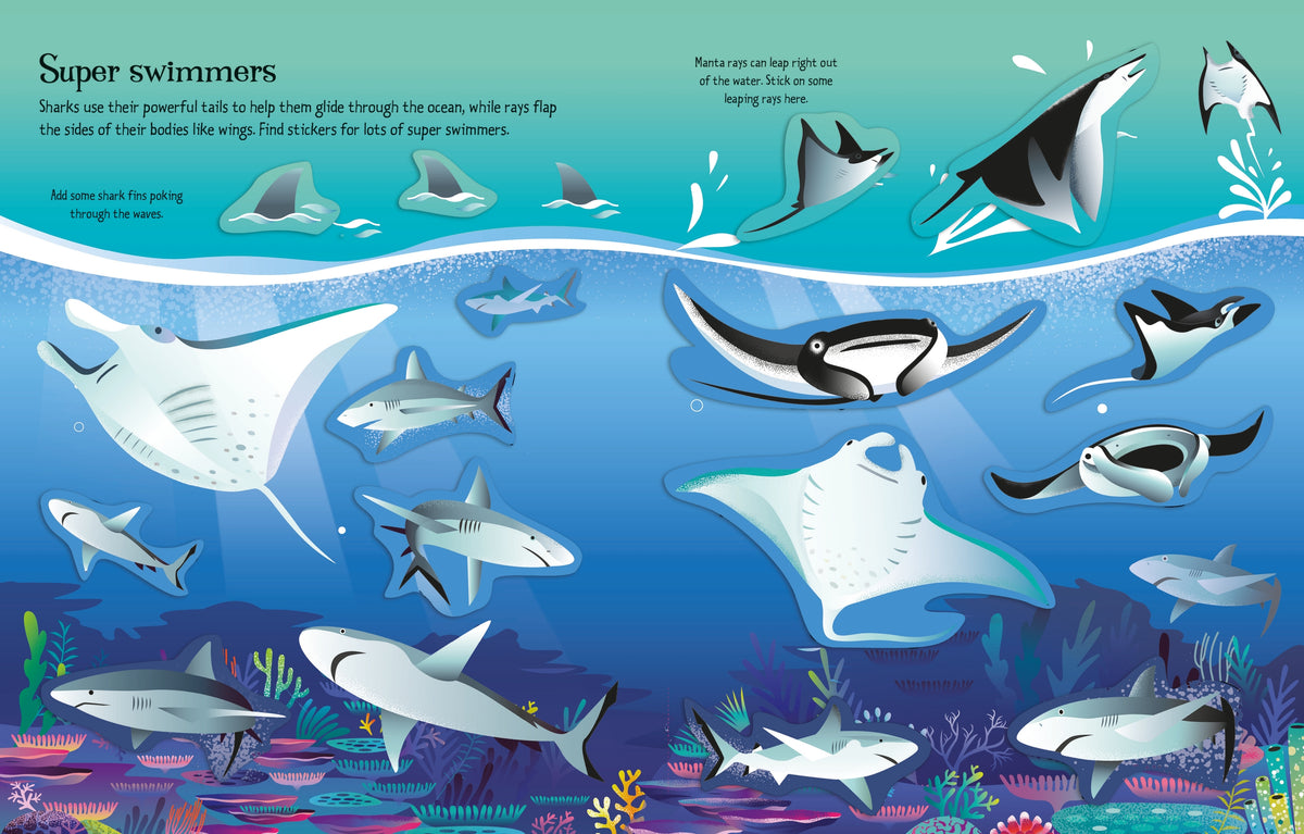 First Sticker Book Sharks and Rays interior 1 (ISBN 9781803709871) [onix-asset:8f61bb79b92a04bdff22df8dd19288755be4fa4211a67312da14fe26d8790264]