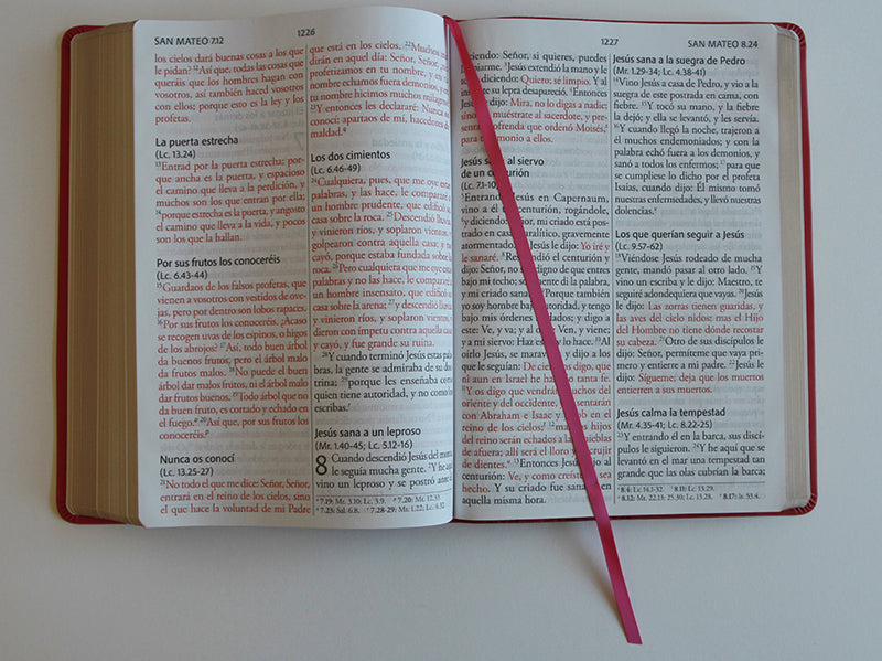 Biblia Reina Valera Revisada 1960 letra súper gigante, símil piel fucsia rosada / Spanish Bible RVR 1960 Super Giant Print, Fuchsia Pink Leathersoft interior 1 (ISBN 9798890980045) [onix:a3624d8ebfcc0724ad0ff136c64e3f7d]