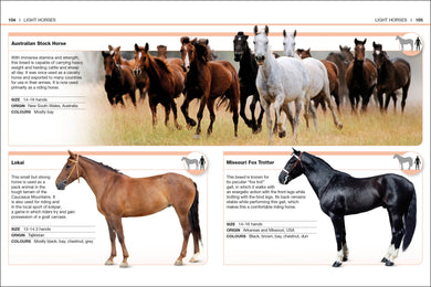 Pocket Eyewitness Horses interior 4 (ISBN 9780241343661) [onix-asset:a29af345f02987f219f99fcff6208177dc92b6f6fb38aaa658fcdb1a8e06864f]