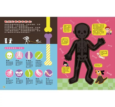 探照燈找一找：透視身體大解密