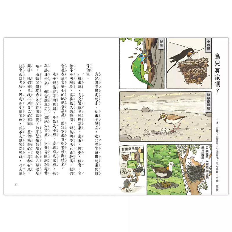 就愛鳥事一籮筐 (35題趣問妙答，愛上鳥事一籮筐)-非故事: 動物植物 Animal & Plant-買書書 BuyBookBook