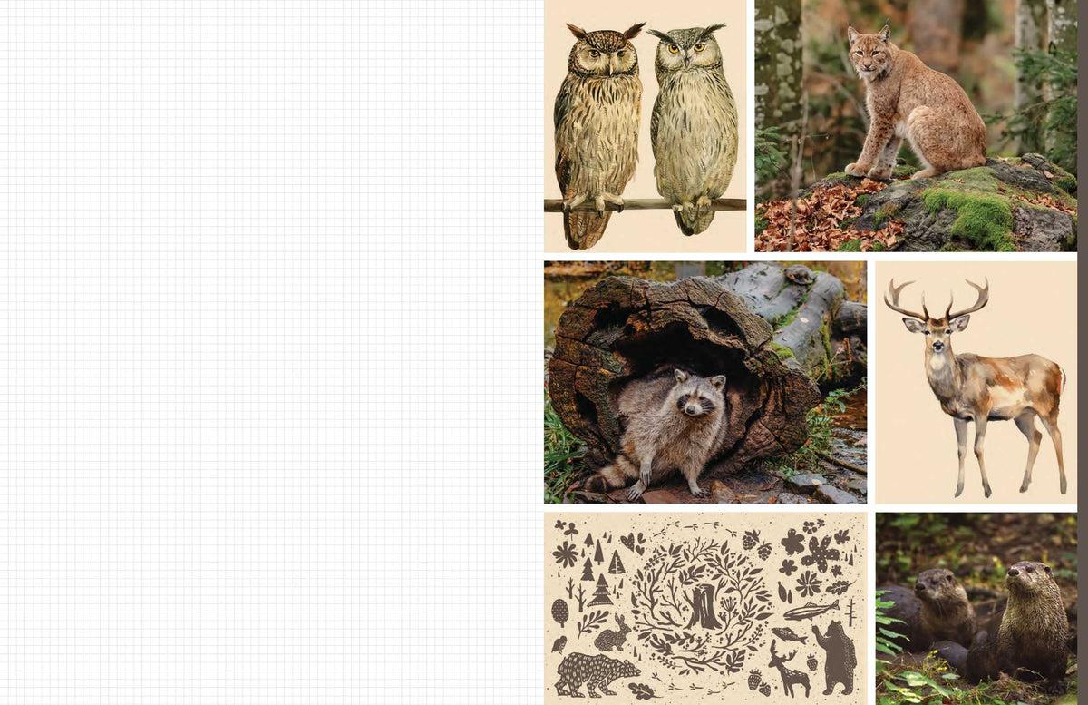 Cut and Collage Woodland Creatures interior 2 (ISBN 9798887621647) [onix-asset:37612ce4cb8ad9ad29441013b4eeb5a40a085435e974b5cc94e124a4bc86d60b]