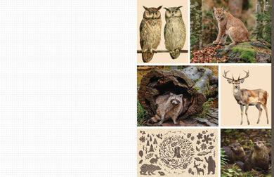 Cut and Collage Woodland Creatures interior 2 (ISBN 9798887621647) [onix-asset:37612ce4cb8ad9ad29441013b4eeb5a40a085435e974b5cc94e124a4bc86d60b]