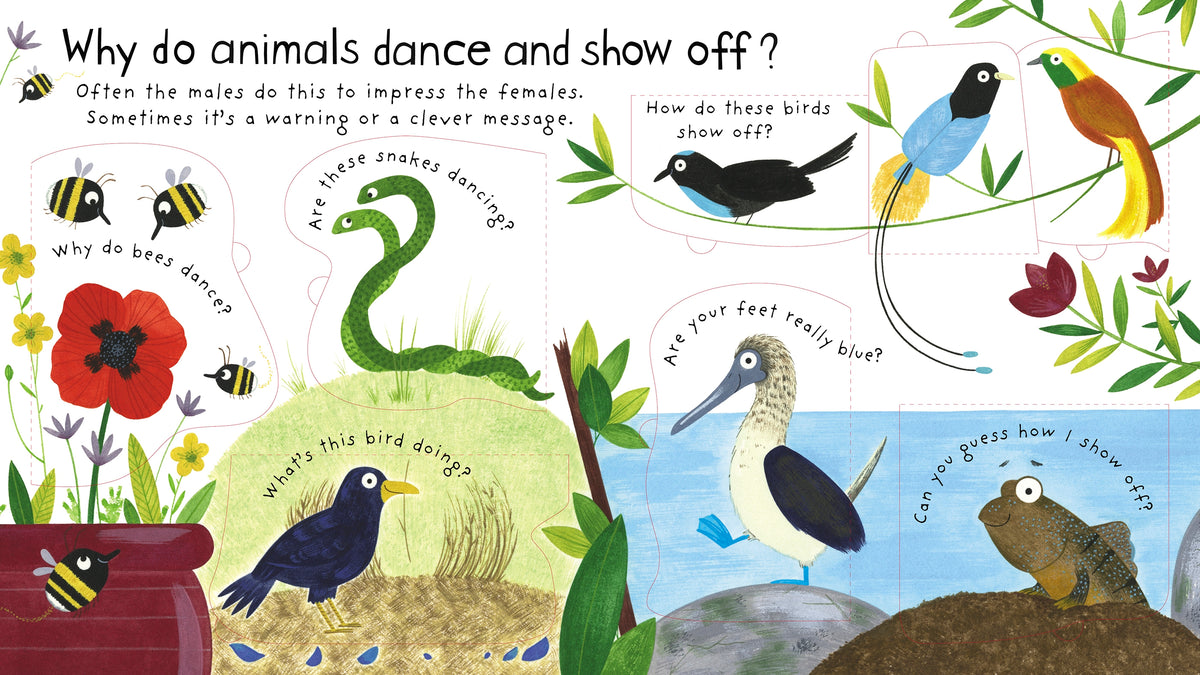 First Questions and Answers: How Do Animals Talk? interior 1 (ISBN 9781474940085) [onix-asset:92f3b87d3655bfd59a22f19cadc856e14e725e566b81c409239d20c4b2d35565]