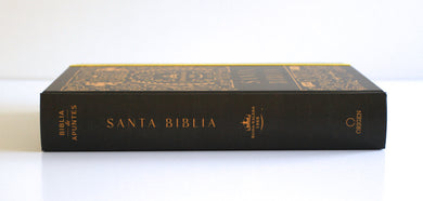 Biblia de apuntes RVR 1960 TD, Negro y oro (Edición cantos pintados) / Spanish Journaling Bible RVR 1960 HC Black and Gold interior 10 (ISBN 9798890982230) [onix:4d84a48215814154d91fd8a3ad1bc913]