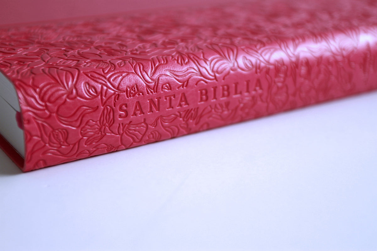 Biblia RVR 1960 letra grande, tamaño manual, Símil piel rosada, edición económica / Spanish Bible RVR 1960 Handy Size, Large Print, Pink Leathersoft interior 5 (ISBN 9798890988232) [onix:12bdb43ced005ce136b25b192173bb58]