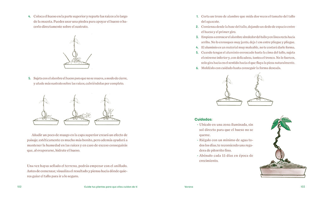 Cuida tus plantas para que ellas cuiden de ti: Despierta tu instinto planternal / Take Care of Your Plants So That They Take Care of You: Awaken Your Planternal interior 3 (ISBN 9788425361500) [onix:d81948791a25e3624cc89681a225b440]