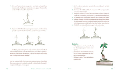 Cuida tus plantas para que ellas cuiden de ti: Despierta tu instinto planternal / Take Care of Your Plants So That They Take Care of You: Awaken Your Planternal interior 3 (ISBN 9788425361500) [onix:d81948791a25e3624cc89681a225b440]