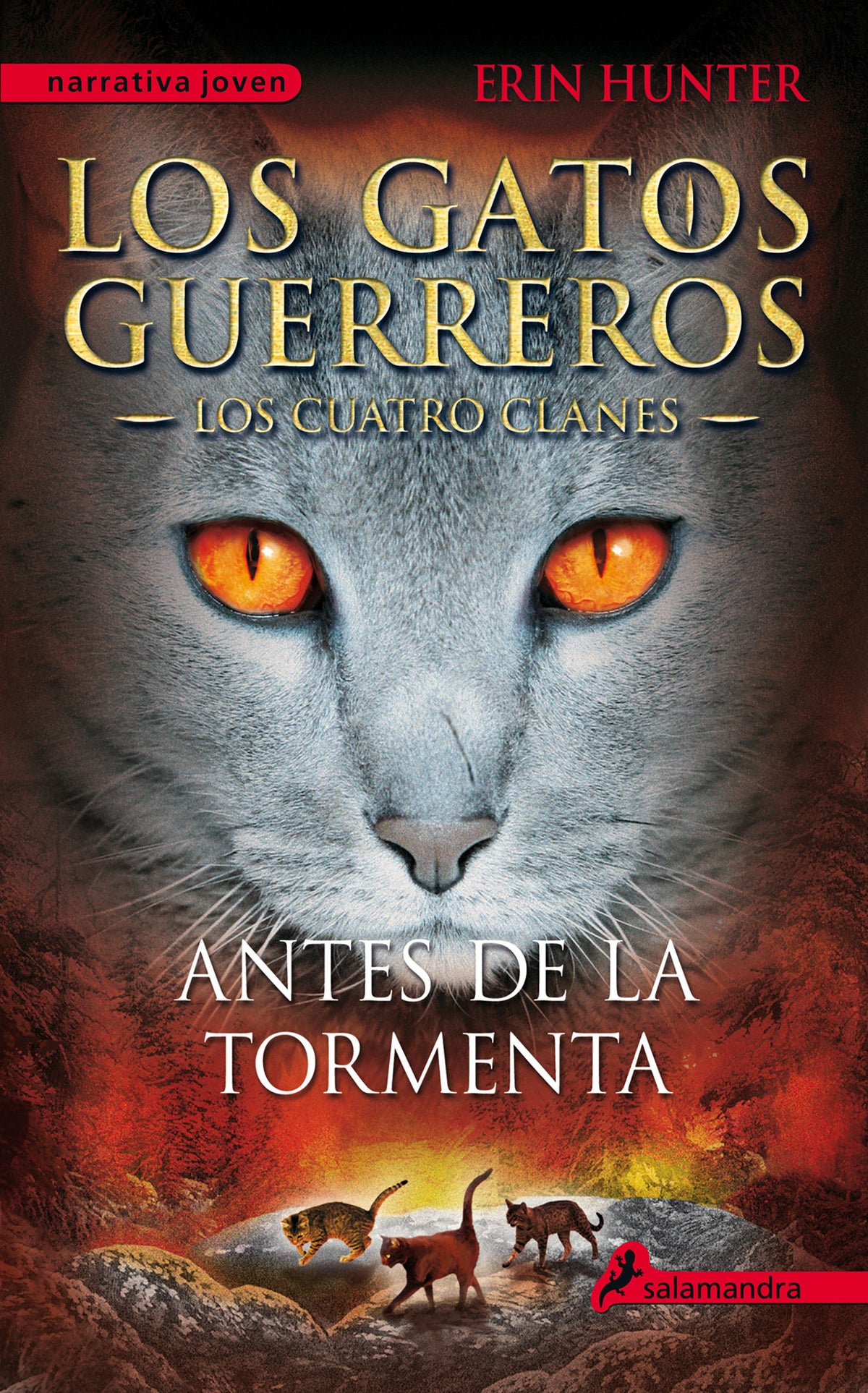 Antes de la tormenta / Rising Storm cover (ISBN 9788498385335) [onix:de87f120e039d0c4cfe2836178e4bd99]