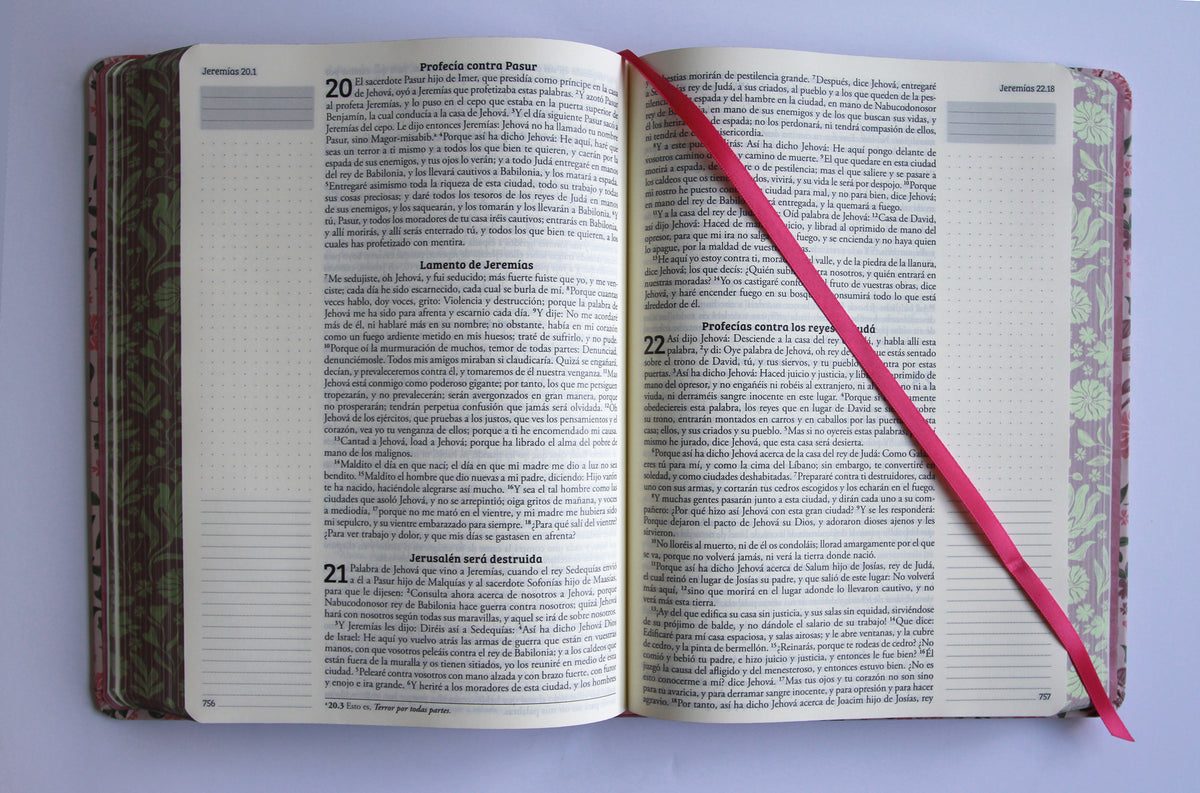 Biblia de Apuntes RVR 1960. Tapa dura, rosada con flores / Spanish Journalling Bible RVR 1960 Hardcover Pink with Flowers interior 8 (ISBN 9798890985118) [onix:c49a879cd2637f9e17ab579103f6d00b]