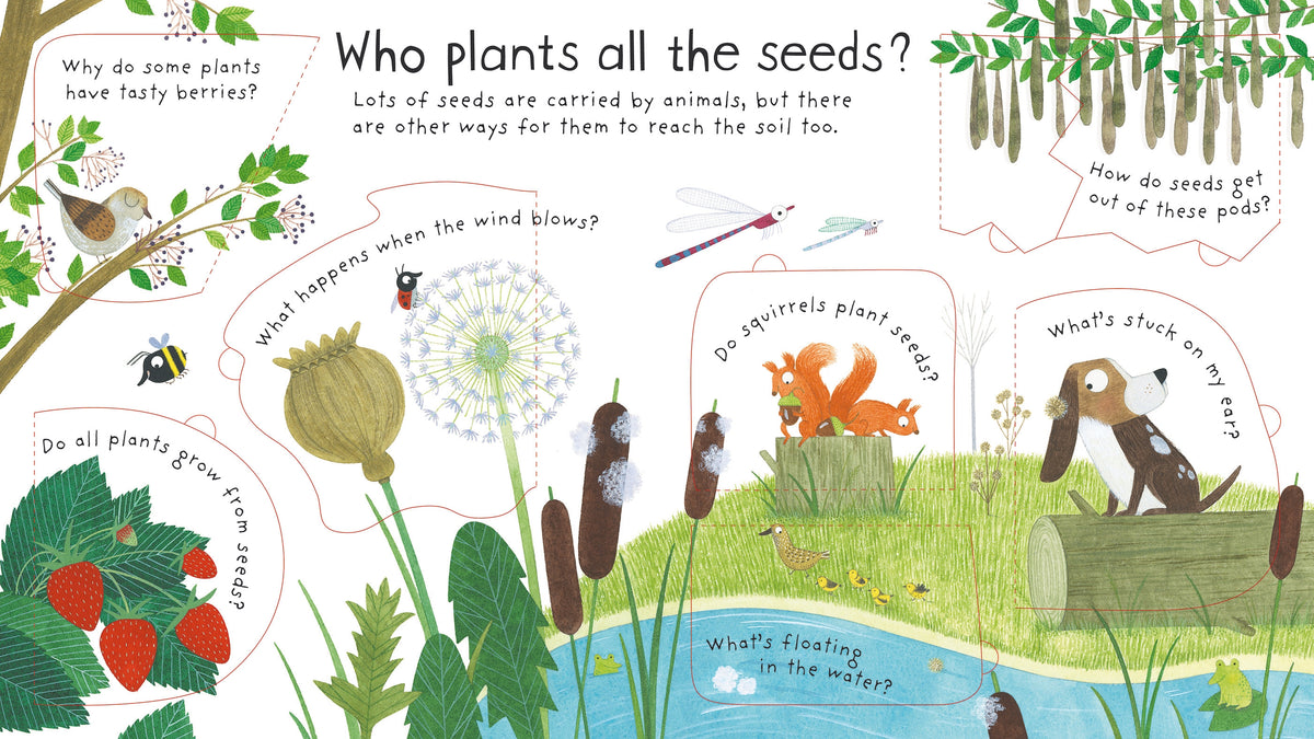 First Questions and Answers: How do flowers grow? interior 1 (ISBN 9781409582137) [onix-asset:4900d22664c6d72d74db8a98465e3c4a6989875a528a4796239782c689116511]