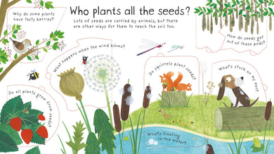 First Questions and Answers: How do flowers grow? interior 1 (ISBN 9781409582137) [onix-asset:4900d22664c6d72d74db8a98465e3c4a6989875a528a4796239782c689116511]