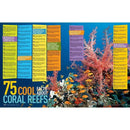 5,000 Awesome Facts (About Everything!): Updated and Expanded!