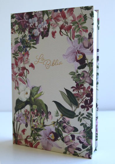 La Biblia Católica: Edición letra grande. Tapa dura, morada con flores / Catholic Bible: Large Print, Hard Cover, Purple with flowers interior 8 (ISBN 9798890985316) [onix:edc4be7af17dc27ae1bdcd5c54232a60]