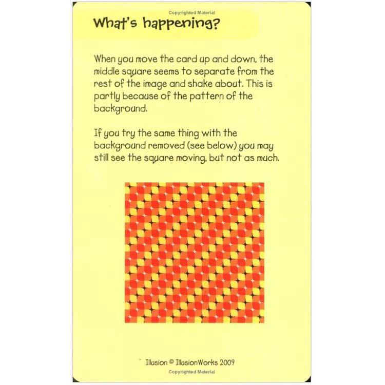 50 Optical Illusions Usborne