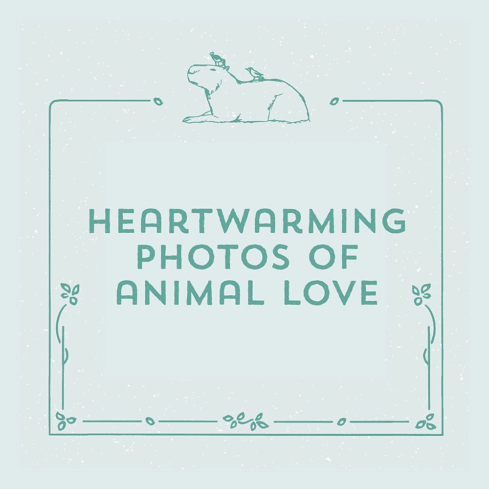 You're a Good Friend, Capybara