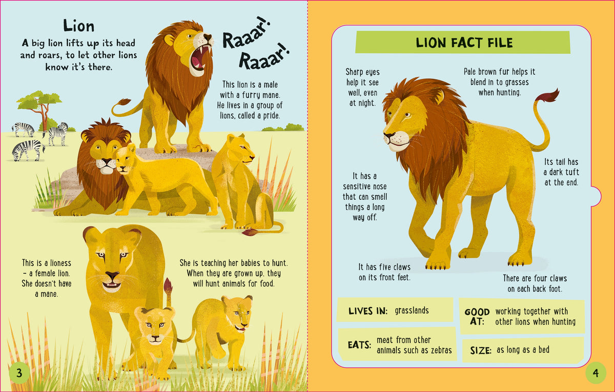 Slot-together Animals Book interior 1 (ISBN 9781805077336) [onix-asset:a1e0a311d7eae37d331d8a629381430bbd7667581bb4925b077e21aa9db02893]