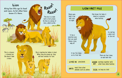 Slot-together Animals Book interior 1 (ISBN 9781805077336) [onix-asset:a1e0a311d7eae37d331d8a629381430bbd7667581bb4925b077e21aa9db02893]