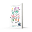 A Very Large Expanse of Sea (Shatter Me) (Tahereh Mafi)-Children’s / Teenage fiction: Religious and spiritual stories-買書書 BuyBookBook