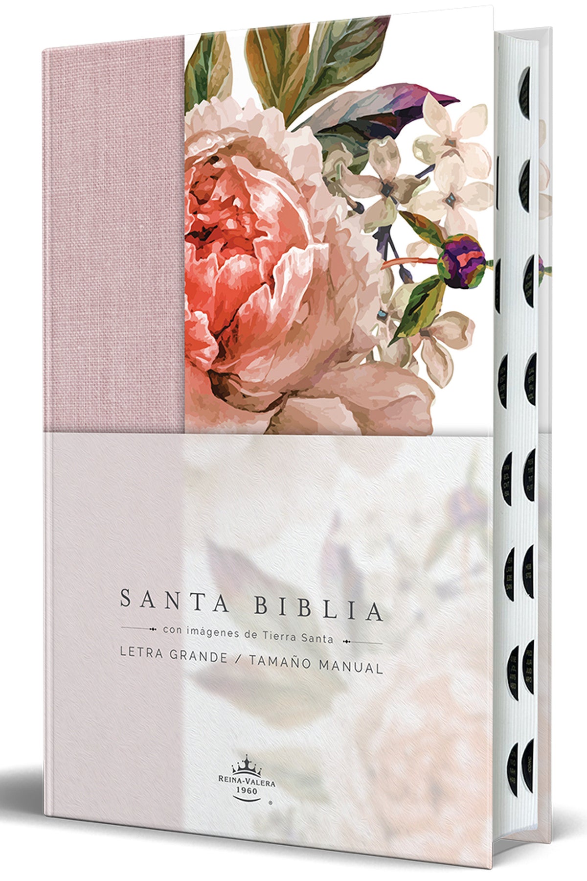 Biblia Reina Valera 1960 letra grande. Tela rosada con flores, manual con índice / Spanish Bible RVR 1960, Large Print, Pink Floral Cloth with Index cover (ISBN 9798890981653) [onix:c524d8f0f567bee7dc952741a82daa60]