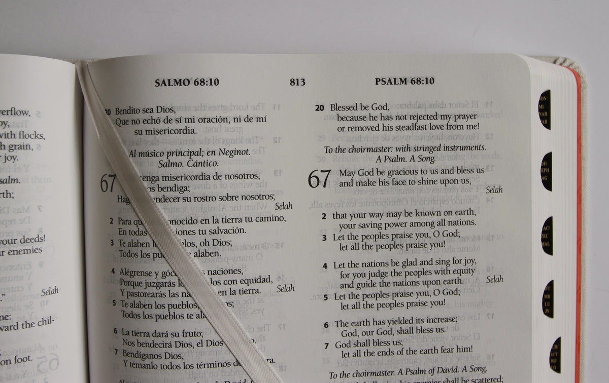 Biblia Bilingüe Reina Valera 1960/ESV letra grande tapa dura tela con índice / Bilingual Bible ESV/RVR 1960 Large Print Cloth Hardcover with Index interior 7 (ISBN 9798890985361) [onix:ccb8807f5ba6120a831ce718f364b098]