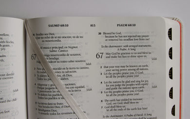 Biblia Bilingüe Reina Valera 1960/ESV letra grande tapa dura tela con índice / Bilingual Bible ESV/RVR 1960 Large Print Cloth Hardcover with Index interior 7 (ISBN 9798890985361) [onix:ccb8807f5ba6120a831ce718f364b098]