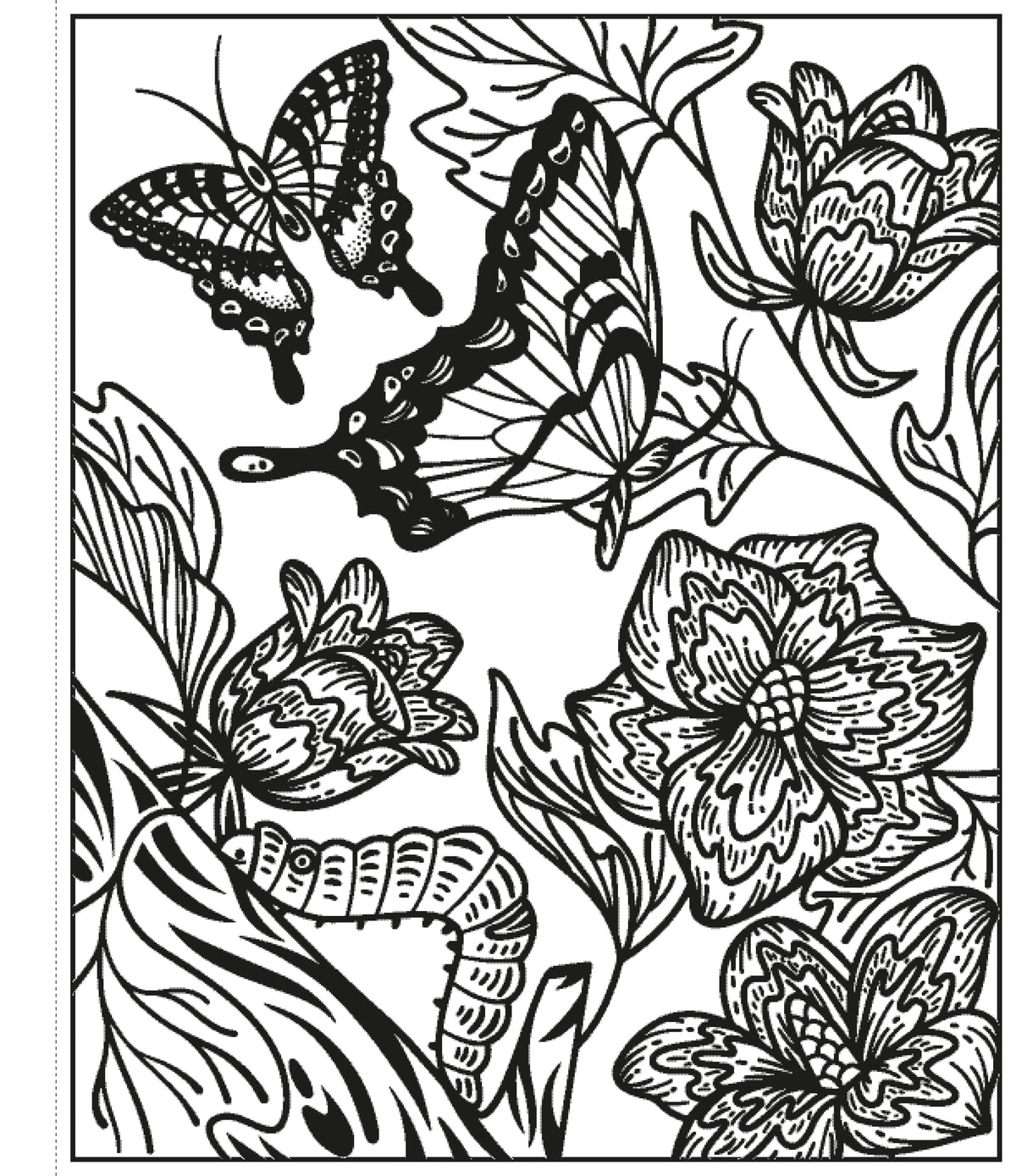 Butterflies Magic Painting Book interior 1 (ISBN 9781474986199) [onix-asset:87b2e8bfde401abc1dbf8e5e720f490aabbe406fe70937ec05a7484cc7cac6fd]