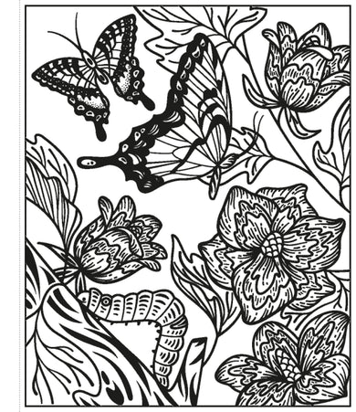 Butterflies Magic Painting Book interior 1 (ISBN 9781474986199) [onix-asset:87b2e8bfde401abc1dbf8e5e720f490aabbe406fe70937ec05a7484cc7cac6fd]