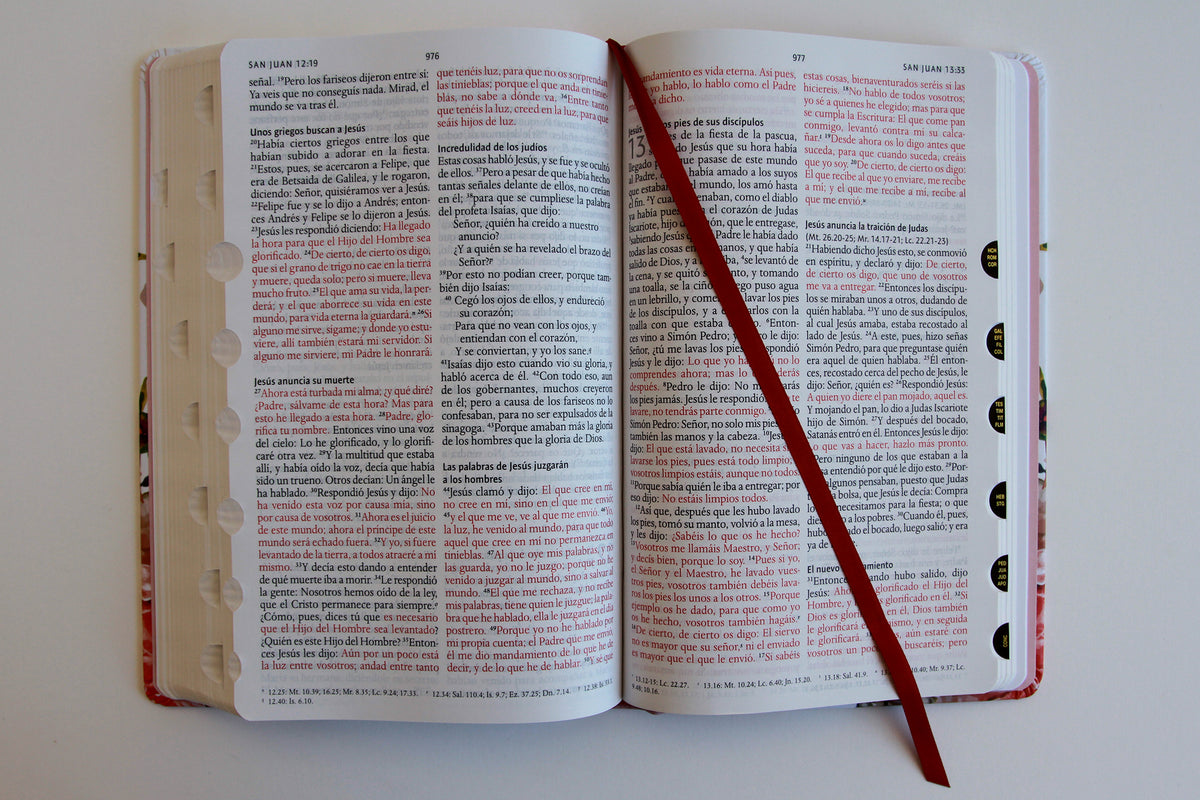 Biblia Reina Valera 1960 letra grande. Tela rosada con flores, manual con índice / Spanish Bible RVR 1960, Large Print, Pink Floral Cloth with Index interior 1 (ISBN 9798890981653) [onix:87dd099d44cc3eec21c3deee7cf22675]