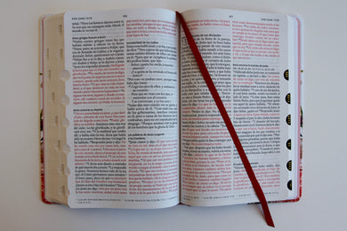 Biblia Reina Valera 1960 letra grande. Tela rosada con flores, manual con índice / Spanish Bible RVR 1960, Large Print, Pink Floral Cloth with Index interior 1 (ISBN 9798890981653) [onix:87dd099d44cc3eec21c3deee7cf22675]