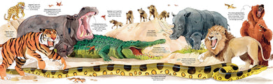 Big Book of Animals interior 1 (ISBN 9781474928953) [onix-asset:bbe333790be774493fe0678ec0a8cf3d1e803e239410d86e78cb5a0f62a699d8]