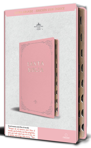 Biblia RVR 1960 letra grande tamaño manual, Piel rosada con índice / Spanish Bible RVR 1960 Handy Size Large Print Leathersoft pink with index cover (ISBN 9798890982131) [onix:c3a70efae954cf17129eb7b3d80469f4]