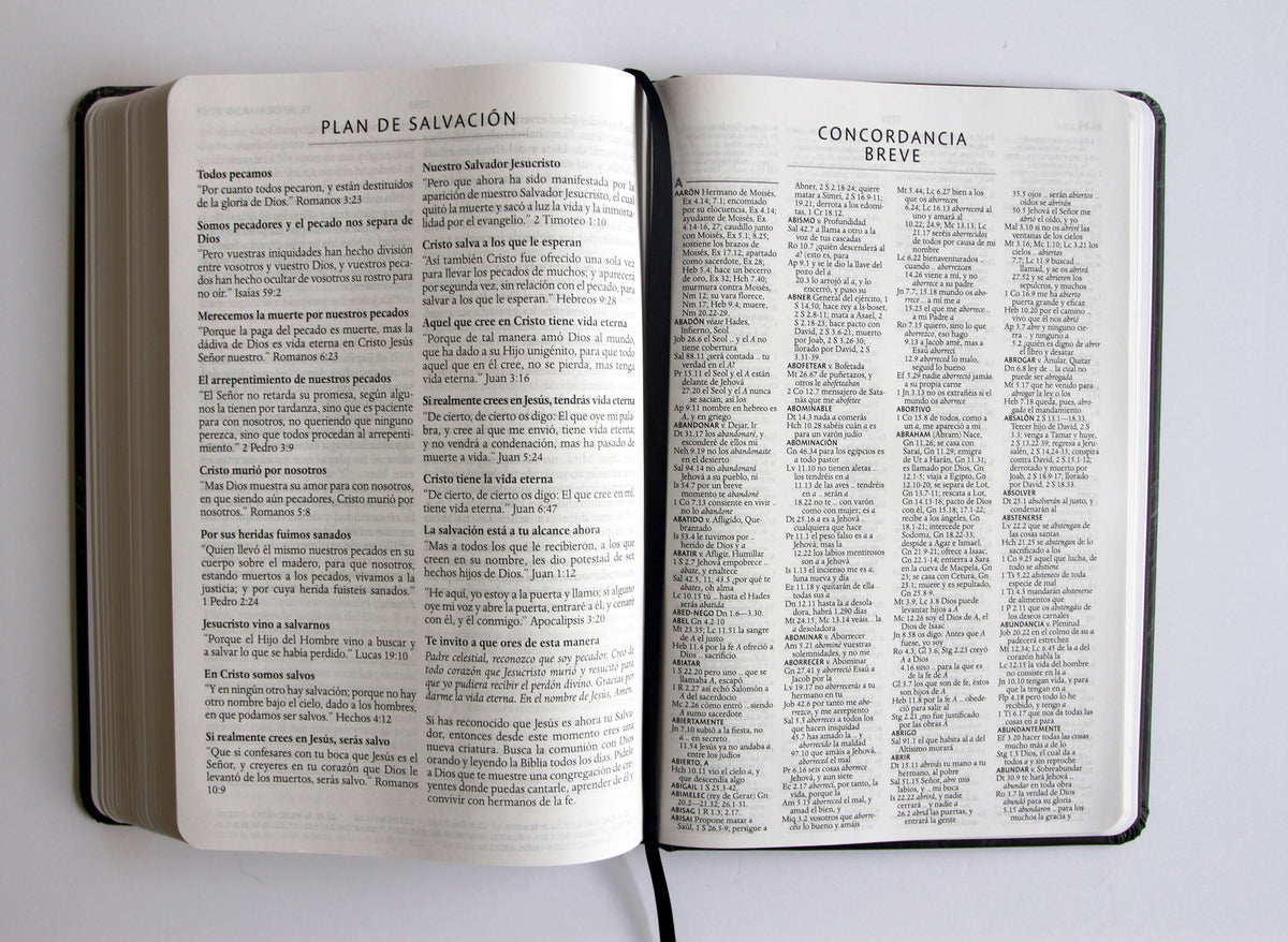 Biblia RVR 1960 tamaño grande, León de Judá, tapa dura ultrafina y con letra grande / Spanish Bible RVR 1960 Large Format, Large Print, Lion of Judah Hardcov interior 5 (ISBN 9798890985644) [onix:f4c0af47ebedd72740e44d76aa4a37b7]