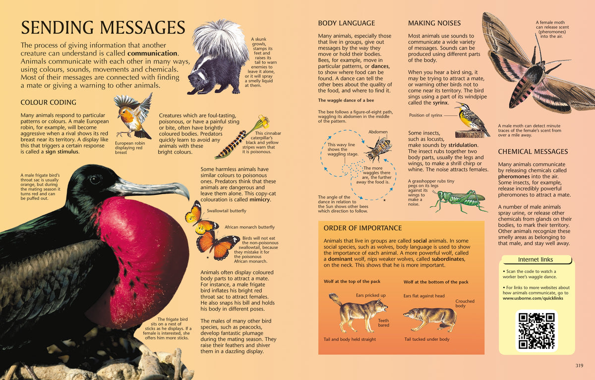 The Usborne Science Encyclopedia interior 1 (ISBN 9781409582960) [onix-asset:f903fde9ee4b5ab313fcfa5d604fa9c334482307b28050eae11f7fc35a96d11d]
