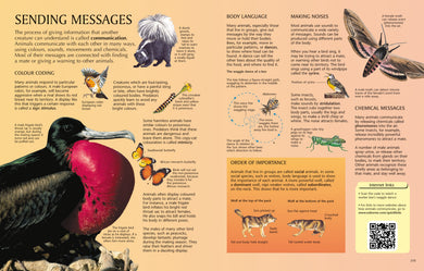 The Usborne Science Encyclopedia interior 1 (ISBN 9781409582960) [onix-asset:f903fde9ee4b5ab313fcfa5d604fa9c334482307b28050eae11f7fc35a96d11d]