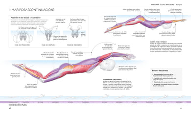 Natación (Science of Swimming) interior 3 (ISBN 9798217135332) [onix:b84be3f9994f890055fcc46b6230768e]