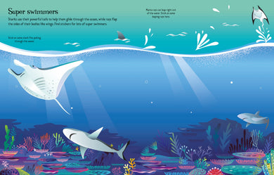 First Sticker Book Sharks and Rays interior 1 (ISBN 9781803709871) [onix-asset:40d8fd8c7246d998c56177457f34e7568e5bd15705d29f91169b409016117bc5]