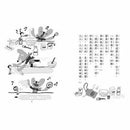 小熊貝魯與小蟲達達- 今天是野餐日 (三版)-故事: 劇情故事 General-買書書 BuyBookBook