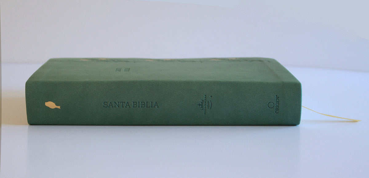 Biblia RVR 1960 Letra gigante símil piel verde con pájaros (Edición cantos pintados) / Spanish Bible RVR 1960 Giant Print Handy Size Leathersoft Green interior 3 (ISBN 9798890982254) [onix:b00d408971f289db14a9a8a86594c516]