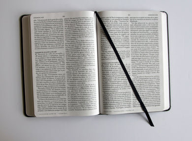Biblia RVR 1960 tamaño grande, León de Judá, tapa dura ultrafina y con letra grande / Spanish Bible RVR 1960 Large Format, Large Print, Lion of Judah Hardcov interior 3 (ISBN 9798890985644) [onix:4ec5540613e209fa058b05645a4cbae4]