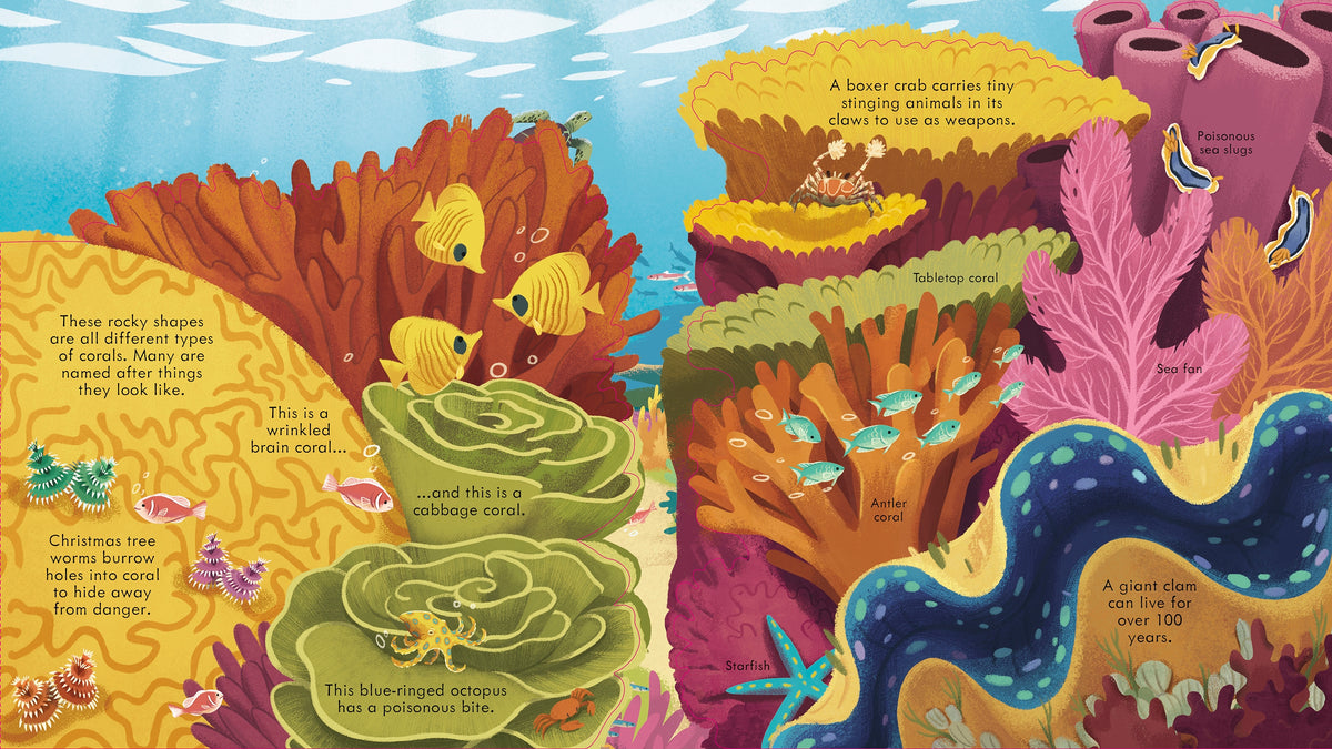 Look Inside Seas and Oceans interior 1 (ISBN 9781474947060) [onix-asset:bd47c858151d893f7c36152a751934e09d8cb7c0a0e90b75ab54fb279ab6324a]
