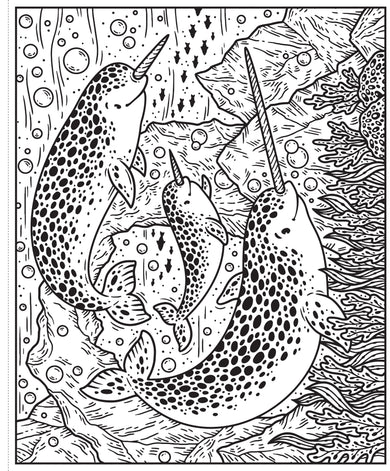 Narwhals and Other Sea Creatures Magic Painting Book interior 1 (ISBN 9781474979610) [onix-asset:d99523b9ddff0ab49dfa52a4390634c7ccc5f799ddaa5ac5faec8b8976b92f96]