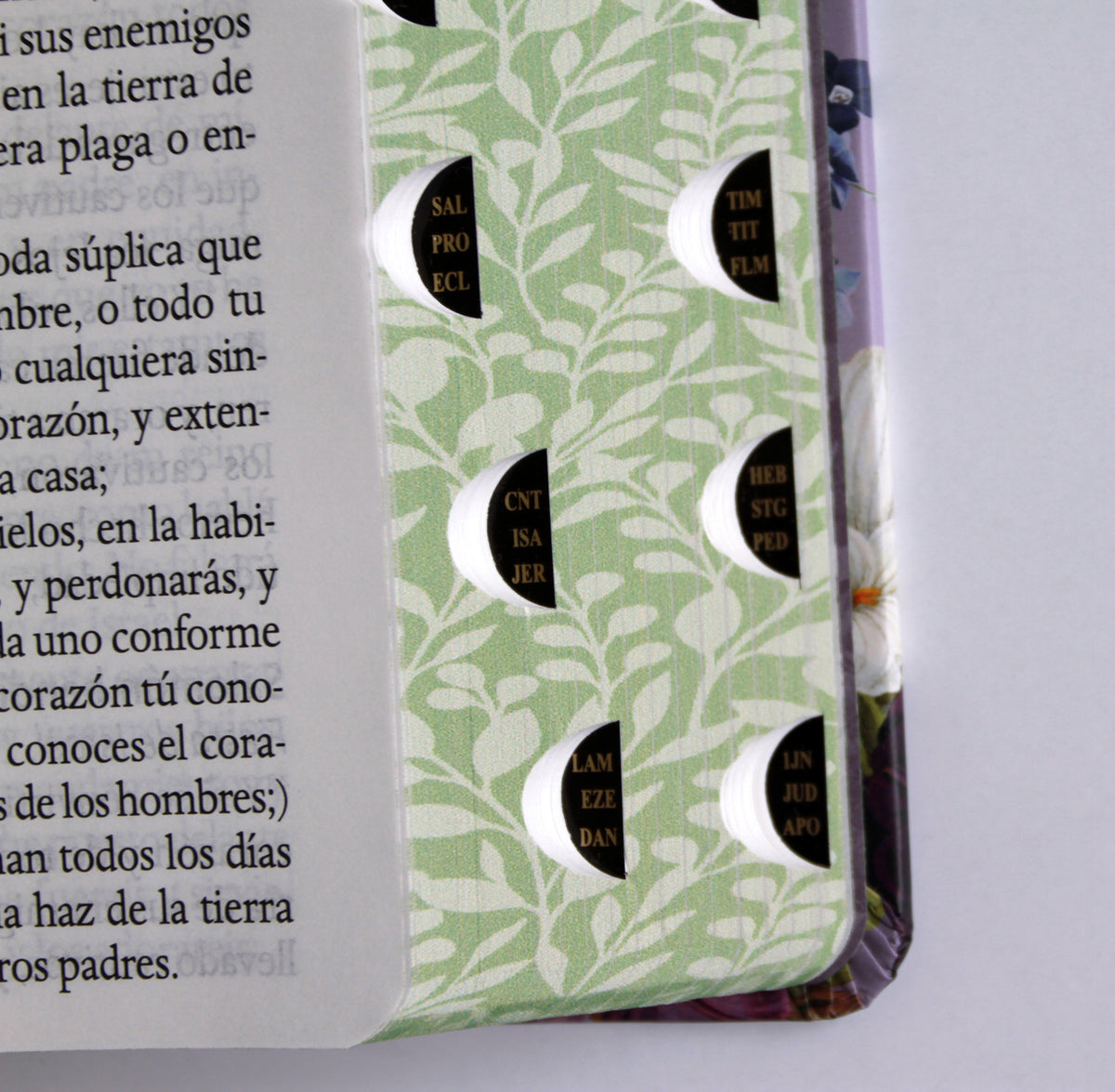 Biblia Reina Valera letra gigante, tapa dura, flores moradas, con cantos pintados e índice / Spanish Bible Reina Valera Giant Print, Hardcover Purple Flowers interior 7 (ISBN 9798890985637) [onix:3a9c40fca3d059c48b5805f9ef939f3e]