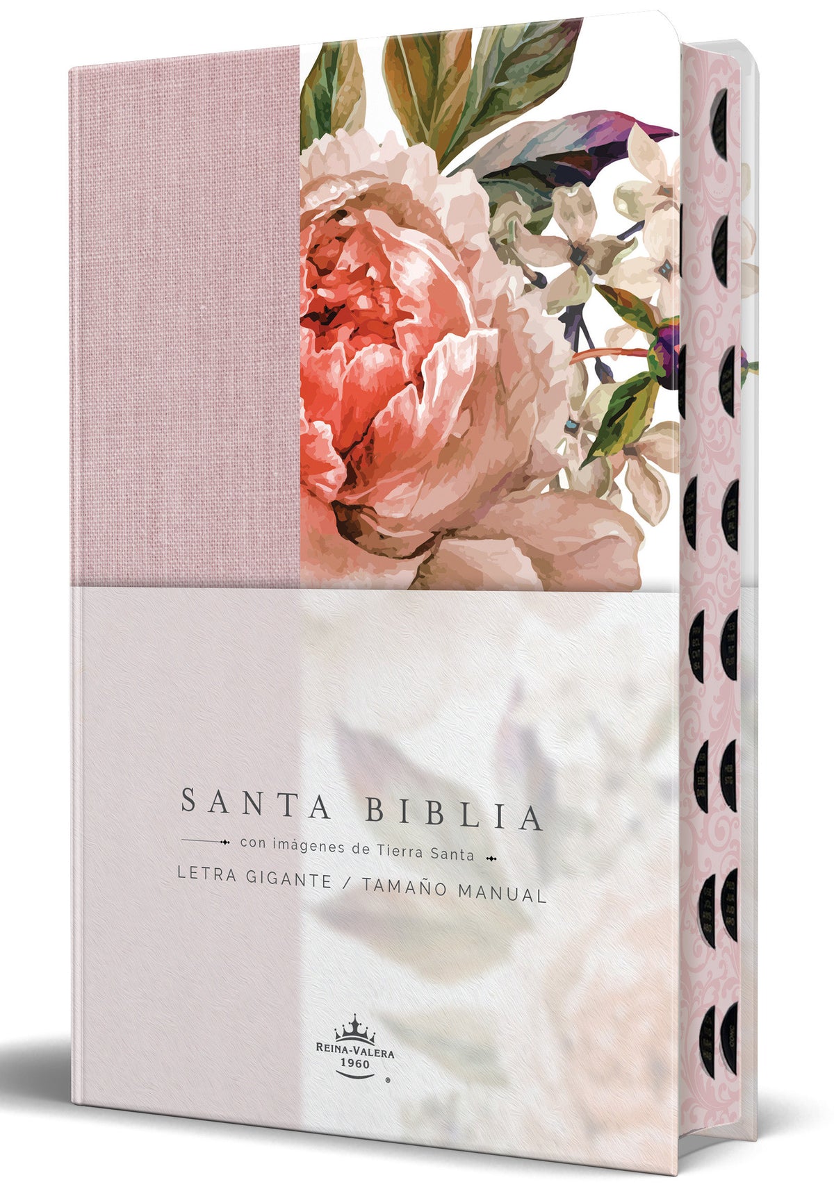 Biblia RVR 1960 Tamaño manual, letra gigante, tela con flores rosadas, canto pintado e índice / Spanish Bible RVR 1960 Giant Print, Pink Leathersoft with Flow cover (ISBN 9798890985675) [onix:f390ded676cc3157c103e12b4b4f22c1]