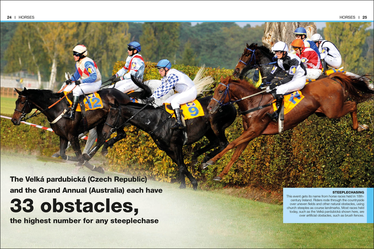 Pocket Eyewitness Horses interior 2 (ISBN 9780241343661) [onix-asset:362ff0c8eeb163ed5b95a4e2547d385b5ad47b05dba7a6b4e08f2c00ec42ece4]