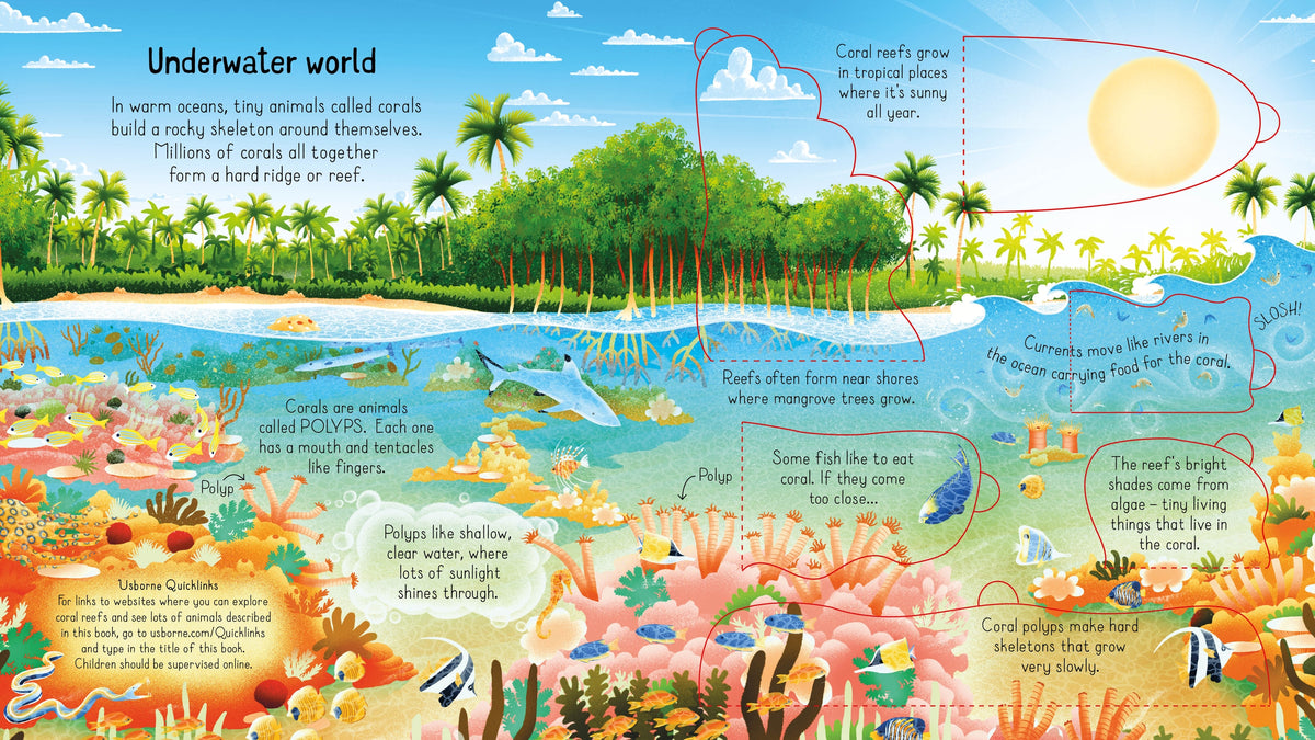 Look inside a Coral Reef interior 1 (ISBN 9781474998918) [onix-asset:ce5abfd77174de54697dbf0a47173b29c7e216b561c16a4b6d9d1bffaa641bbd]