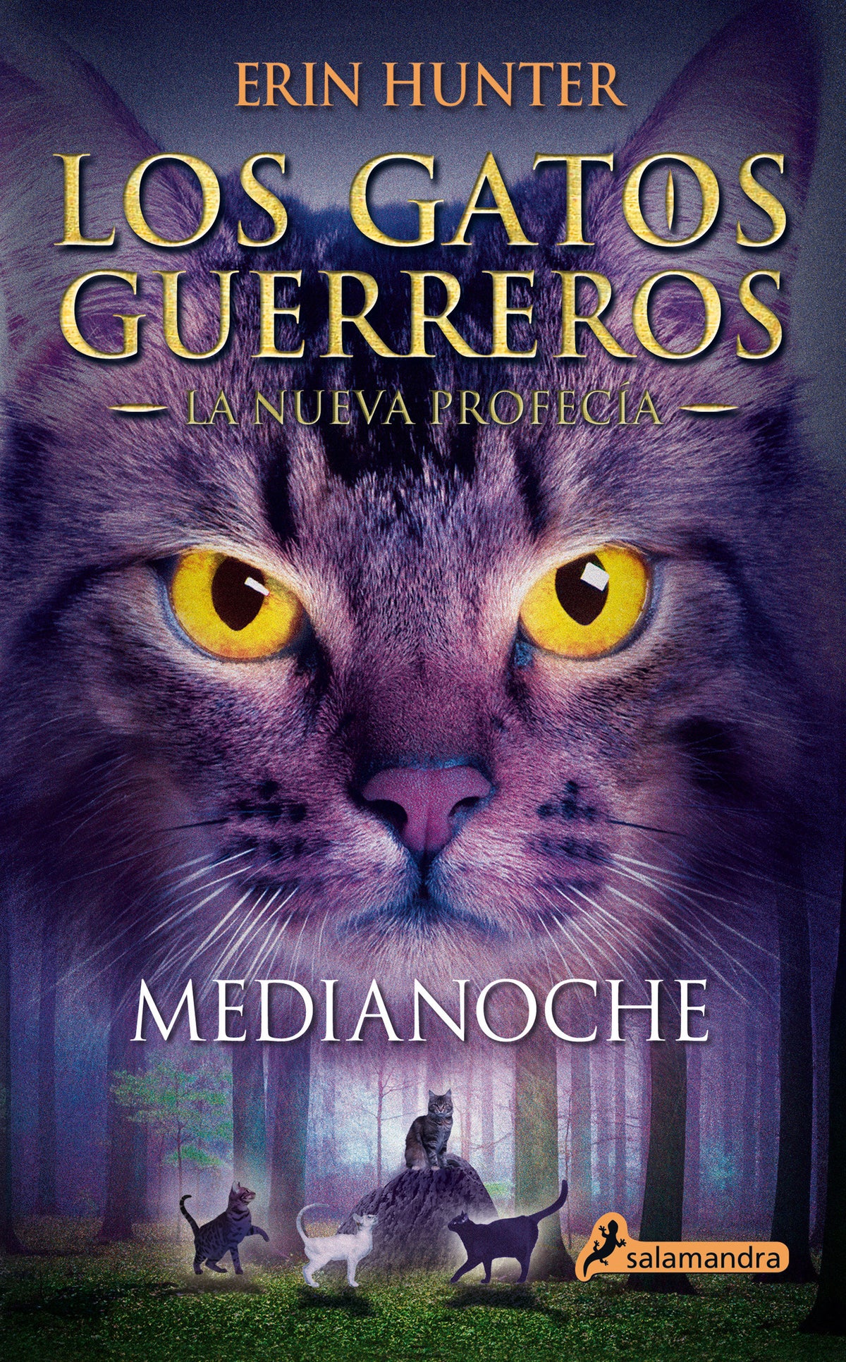 Medianoche / Midnight cover (ISBN 9788498385939) [onix:9c86eeae1c3d93fbc468d56a36af3f74]