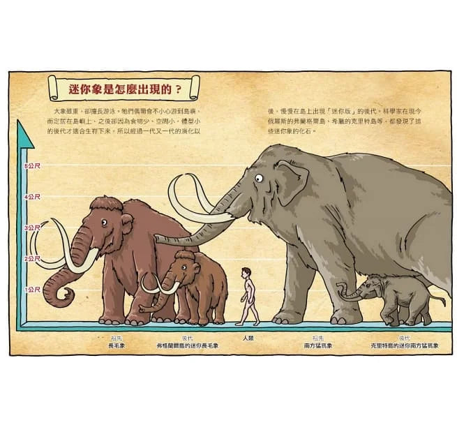 達克比辦案 #6-10集套書-非故事: 常識通識 General Knowledge-買書書 BuyBookBook